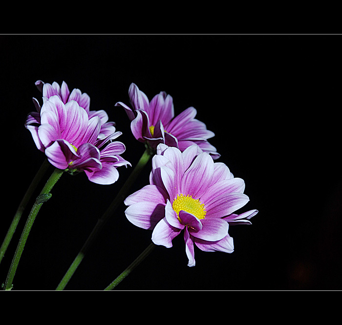 prý nějaký hřbitovní :-)