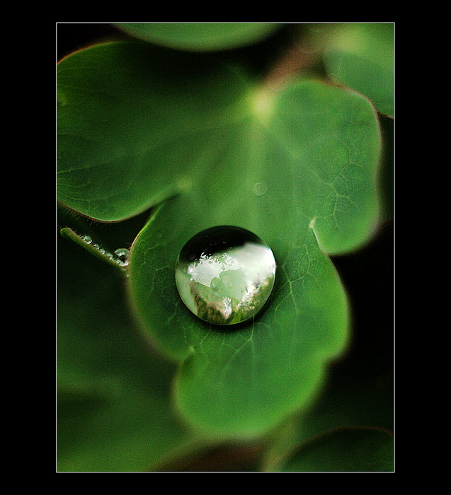 A poslední ze série kapek