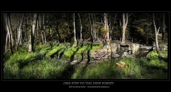 * ONE STEP TO THE DEEP FOREST *