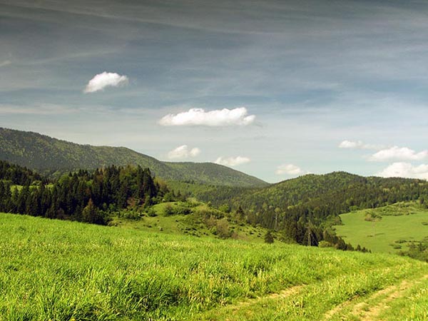 Cesta na Kubínsku Hoľu