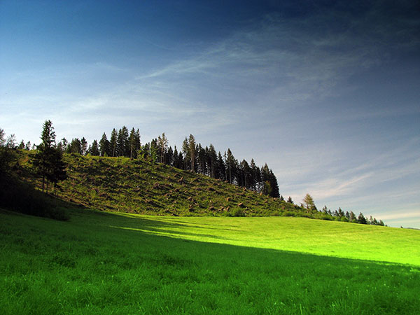 Na kopec