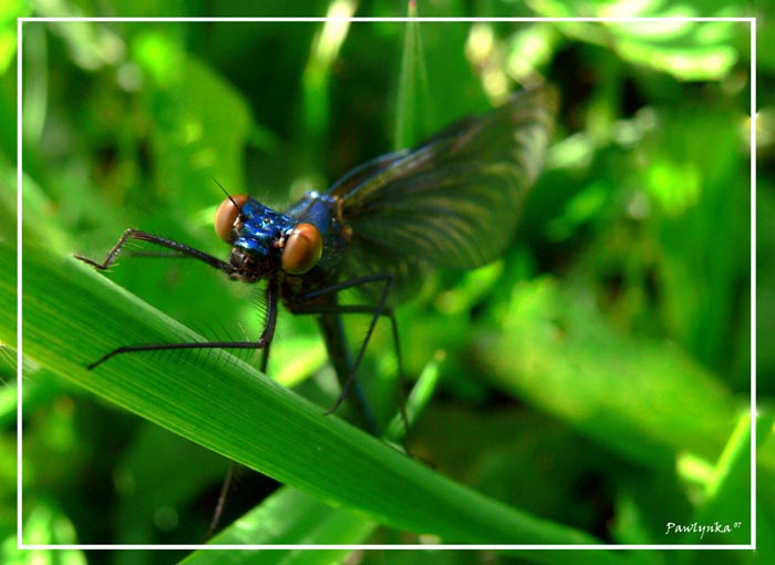 Musíme si promluvit, mladej!