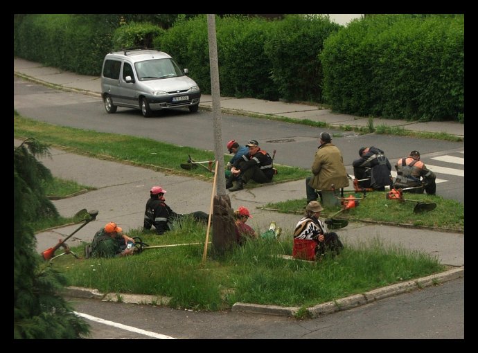 Veřejně prospěšné práce - sekání trávy