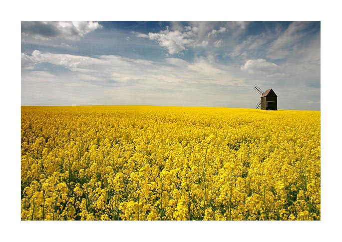 *** Starý větrný mlýn II. ***