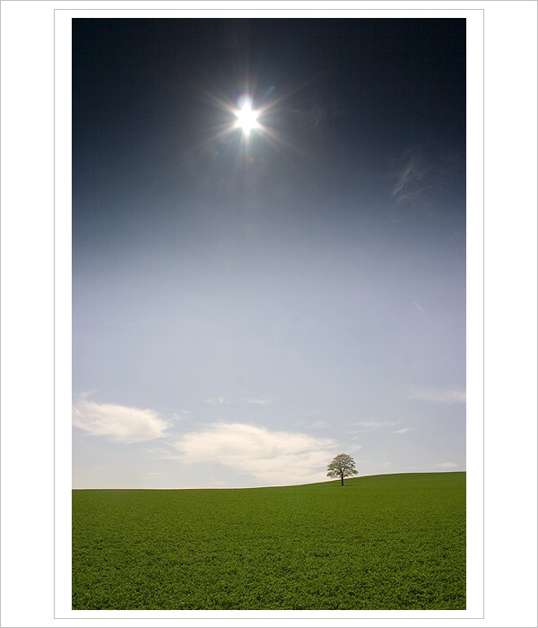 *** Otický samotář ***