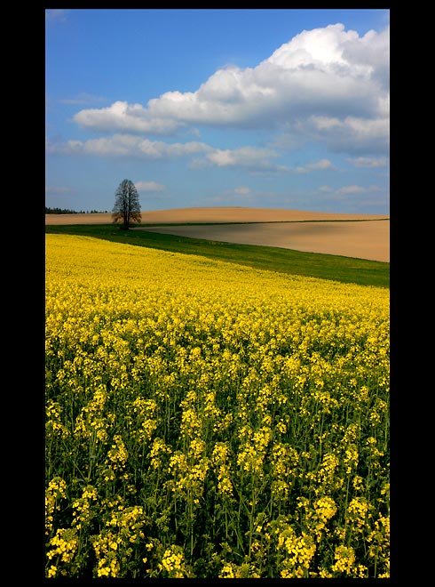 Jihočeská pohodička