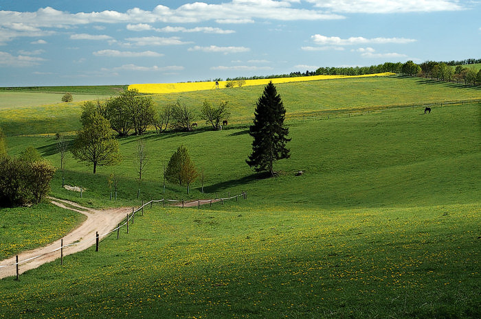 Na Bišiku