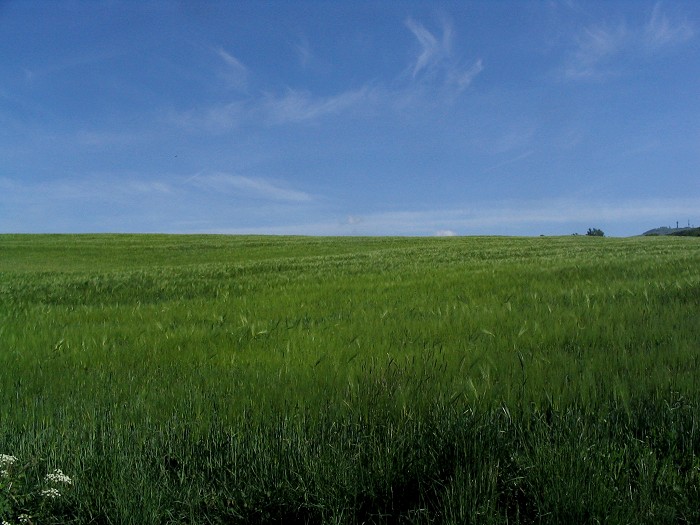 Poľoffka pred letom