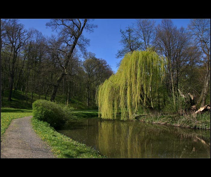 Ráno v Krásném dvoře