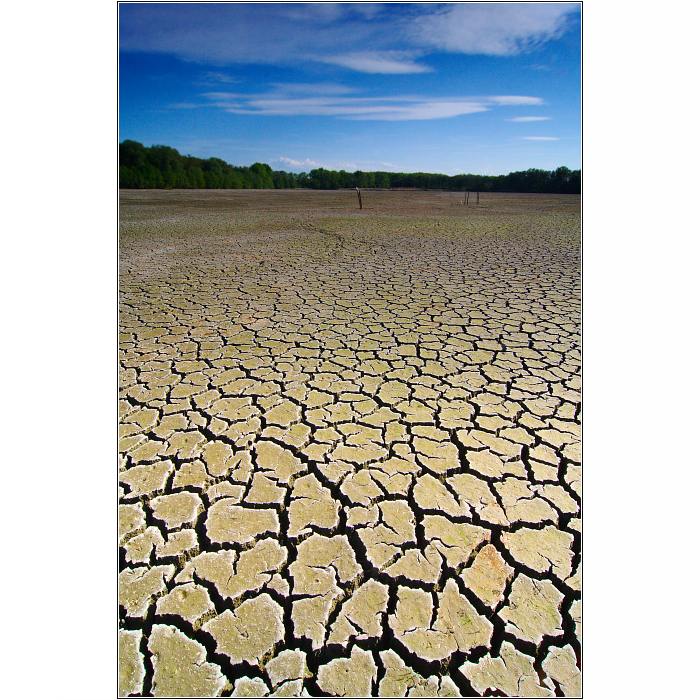 Rybníkovka vypuštěná