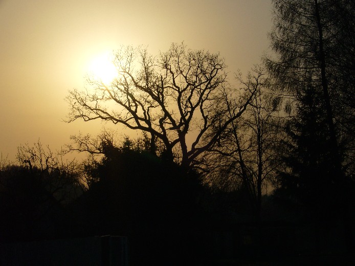 Strom