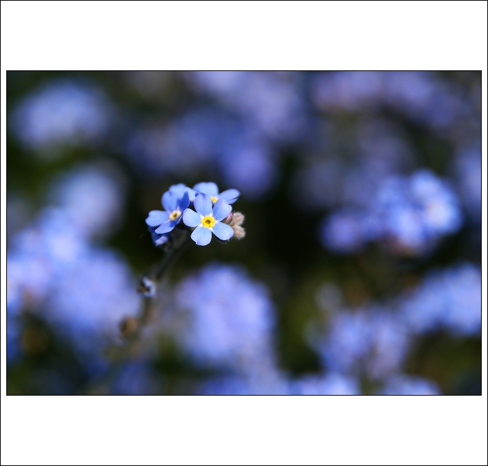 Abyste nezapomněli....