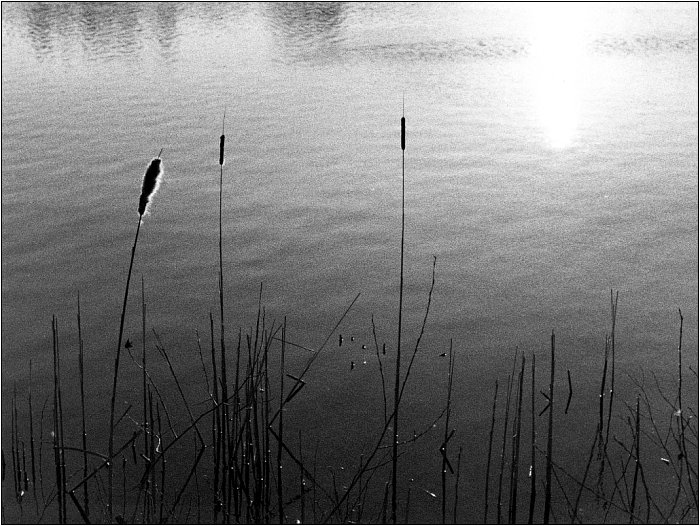 Jezero