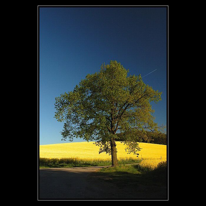 Květnový podvečer...