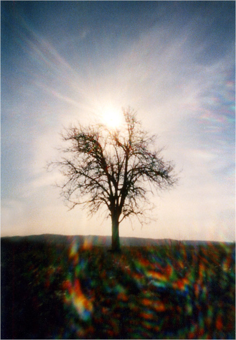 WPPD 2007