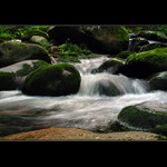 Plyne tu den po dni...