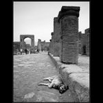 Psí život v Pompejích