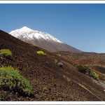 Teide podruhé
