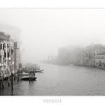 VENEZIA