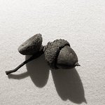 ...s čepičkou ? nebo bez? ...