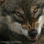 Už mě zase fotíš?