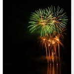 Noční palma I.B.   II.