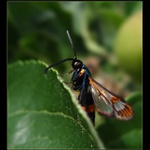 zasluzeny odpocinok....