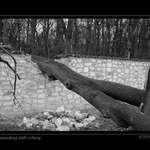 Některé útěky bolí.