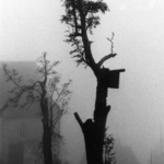 Lepší zůstat v jižních krajích