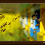 A máme po šichte....