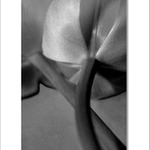 ... ruky nás spoja ...