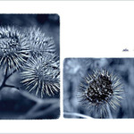 ... spoločne i sám ...