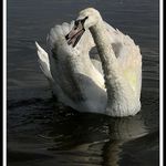 mazej od toho břehu