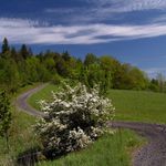 Kam nás asi dovede ?