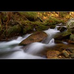 ...Říční Kýčovka...