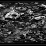 Pomalu, ale jistě...