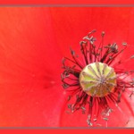 Na cestě Rudou galaxií