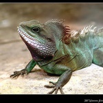 ZOO Olomouc