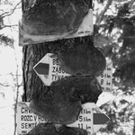 KČT ? ? ?   Ne ! ! !