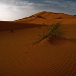 Vítr vane pouští...