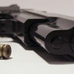 Gun