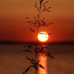 západ sluníčka nad jezírkem