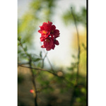 Čarodějka se vyhřívá...