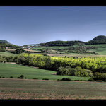 Mezi Oblíkem a Milou