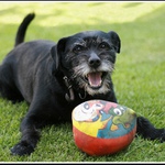 Jen si zkuste mě ho vzít.