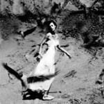 stále dokola tytéž melodie