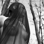 Vesna čeká jaro::::