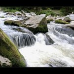 Šumava-Vydra
