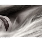 z příběhů velmi pozdního odpoledne