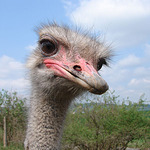 Mazej s tim fotakem nez se nastvu...